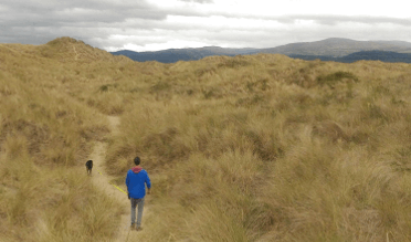 A man and a dog walk the dunes at Ynyslas.